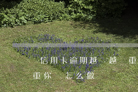 當信用卡逾期越來越嚴重，信用卡逾期日益嚴重，你該怎么做？